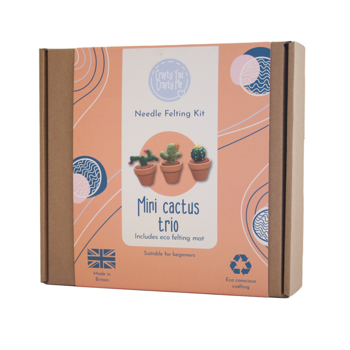 Mini Cactus Needle Felting Kit